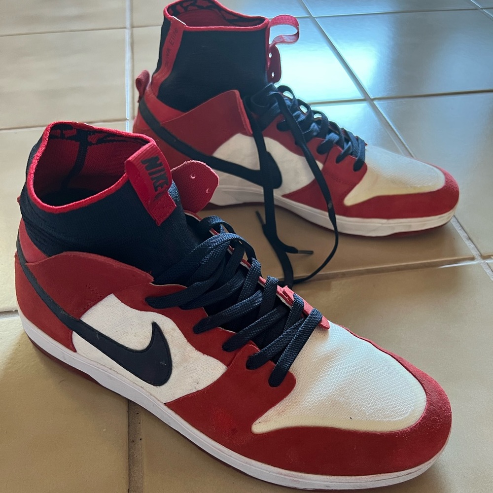 Nike SB Dunk elite